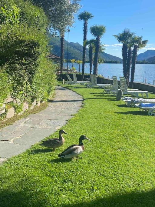 Holiday On The Lake Lugano 2-16 Bissone Exterior foto